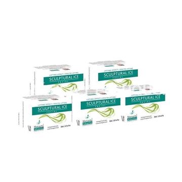 5 facial hieloterapia Margarita Aburto - Imagen 1