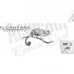 Decoloración Aclaratif Radical Blond, 500 grs - Imagen 2