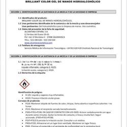 Gel limpiador de manos hidroalcoholico 300 ml. - Imagen 2