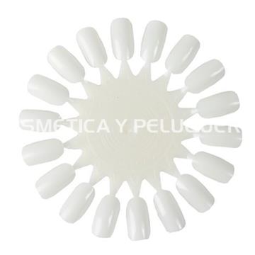 Rueda muestrario colores - Imagen 1