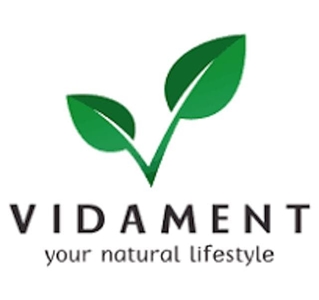 Vidament
