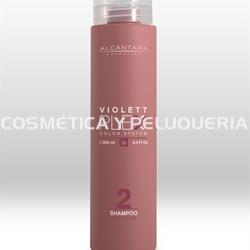 Violett Plex champú color care, 250ml. - Imagen 1